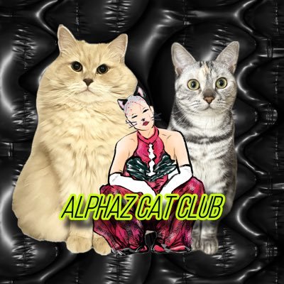 寝ても醒めても猫とXG🐱👽|RnB & dance|cats 𝐵𝐼𝐺𝐿𝑂𝑉𝐸🐈🐈⬛│ #ALPHAZねこ部 管理人|KCON 5/13 SC 11/26 WT 5/19.26+2/8.22.23.3/15.16+FINAL5/14 VMAJ 3/19