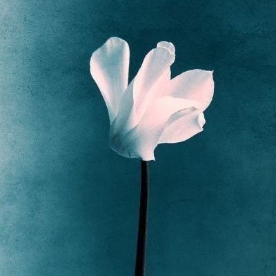 خداوند به توبهٔ بندهاش فرحناكتر است از مرد عقيمى كه داراى فرزند شود و از شخصى كه گمشدهاش را پيدا كند، و از تشنهاى كه به آب مىرسد.