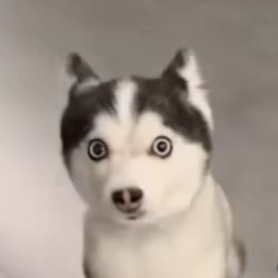 @scopi_no