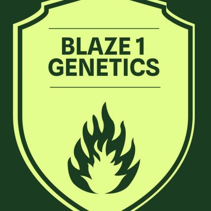 HydroIguana's profile picture. Feminized seeds and clones. For homegrowers, caregivers, connoisseur.