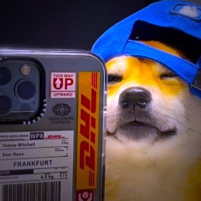 Mnrdavisao55's profile picture. insta: mellyfps9