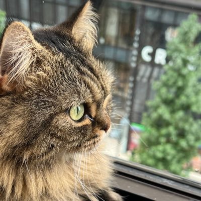 bausmb's profile picture. keio-ics B3 / KCS / 自然言語処理, 音声情報処理, 方言, ドイツ語