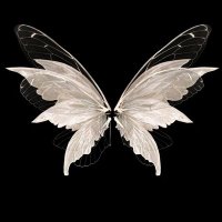 Billy Ramsey (@billyramse91337) 's Twitter Profile Photo Billy Ramsey (@billyramse91337) 's Twitter Profile Photo