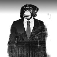 The Monk (@monkeycrypcalls) 's Twitter Profile