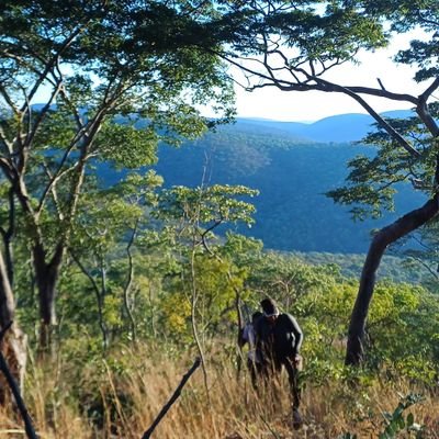 CeezMwanza's profile picture. A flower 🌹 with a Heart of Gold. 🏆

Educational Technologist. Multiprenuer. YALI Fellow. Empreteca. AWEC Alumni 

 #Techie #Traveller #Geek