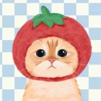 yumii’s ✩°。 ⋆⸜ 🎧✮ (@haechanbelovedd) 's Twitter Profile