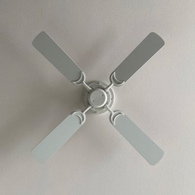 snfktatsu's profile picture. 