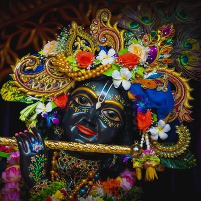 toxic_01Likan's profile picture. 