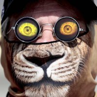 Vivaldi (@ivanl2024) 's Twitter Profile