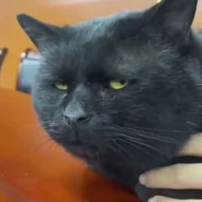 OnSebsai's profile picture. 