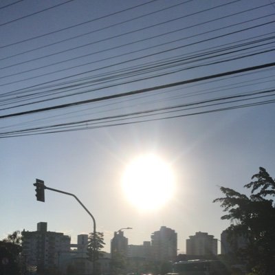 henriqu3416510's profile picture. 