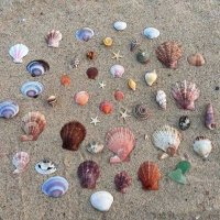 Jefferson (@jefferson_ates) 's Twitter Profile