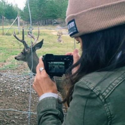 sunslucy's profile picture. waiter! waiter! more chenford please!!! @iuvchenford