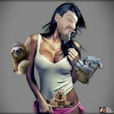 CalvoCletus's profile picture. Eminencia involuntaria en el arreglo y conservación de tacones en forma de pene.