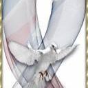 Richard Leaver - @revdrrgl - Twitter