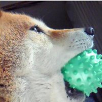 nana🦁🏍️⚾️🍠 (@mo_leo80908991) 's Twitter Profile Photo