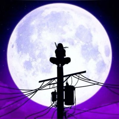 Aph2672's profile picture. Crypto influencer , Active  guy