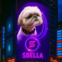 BELLA_ COIN_ON_SOL (@bella_on_sol) 's Twitter Profile