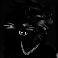 Koozie kitty (@royallty) 's Twitter Profile Photo