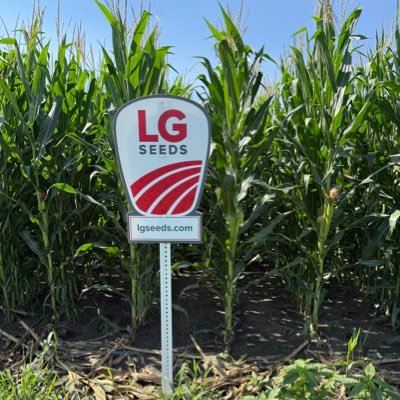 LG Seeds Sales Agronomist. tweets and views are my own, not of my employer. SDSU alum, Go Jacks!