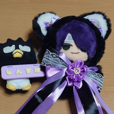 如月あいるさんのプロフィール画像