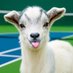 The Tennis Goat (@thettennisgoat1) Twitter profile photo The Tennis Goat (@thettennisgoat1) Twitter profile photo