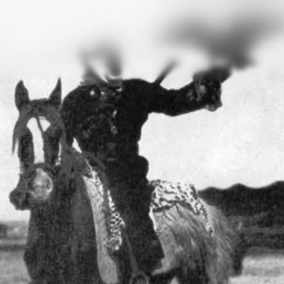 waleed52_'s profile picture. وُلدت لكي أدافع عن عقيدتي ووطني