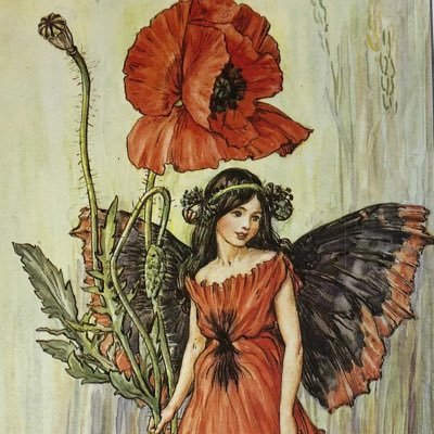 goodbyesceap's profile picture. I am hated for loving