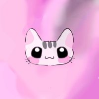円錐ちゃん (@meeeeeeo_o) 's Twitter Profile