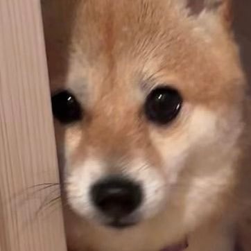 2yazlk's profile picture. sub🤍