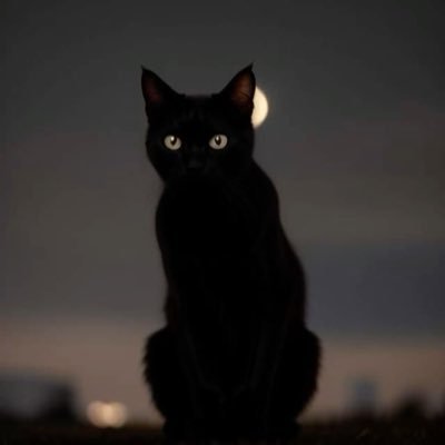 DAN_707_'s profile picture. إليك بسطتُ الكفَّ أدعوك صادقاً وأنت لأحلام الرُعاةِ مجيبُ، وما مسّني ضرٌ وبابك مُشرعٌ وما نالني فقرٌ وأنت قريب