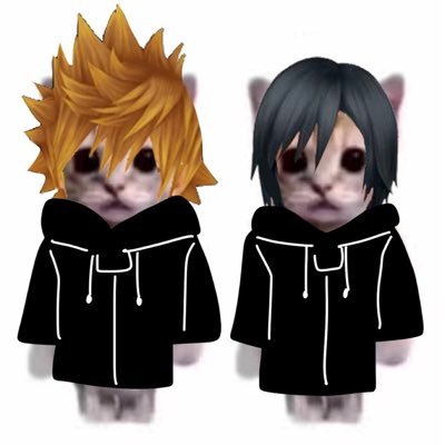 lio2kx's profile picture. 22 | multi-media collector | emo | JRPGS 🖤