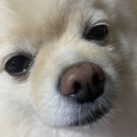 Hourdan 한단 (@hourdan0) 's Twitter Profile