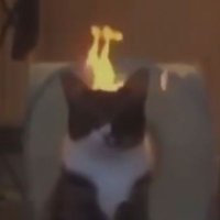 انا ولا في دماغي (@eman571790) Twitter profile photo