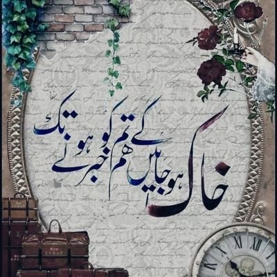 mohsinmomin666's profile picture. 🎓دانشجو