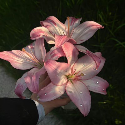 loluzeee's profile picture. Iyawo Alhajin’t. Nothing to see here( But you can click the link in the bio if you’re nosy). Not Igbo