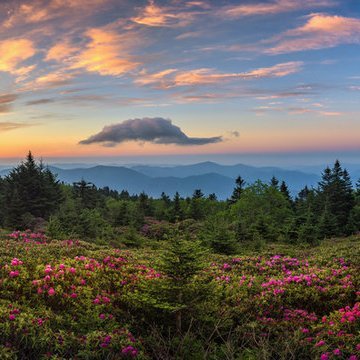 brotablvr62's profile picture. Single Mature guy into All things Masculine...looking for Same.