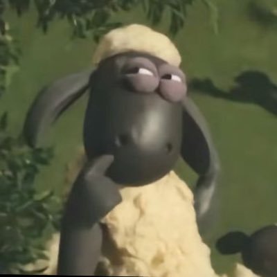 meioquefodasekk's profile picture. nada a declarar.
