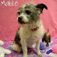 Richelle (@richelle61598) 's Twitter Profile Photo