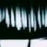 I6262L6262Y6262's profile picture. five by five
