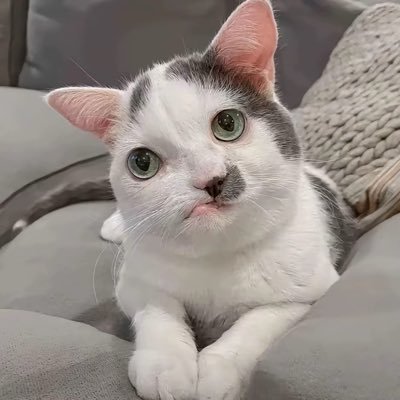 cassandra_f33's profile picture. 