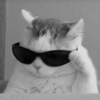 Leelu Pinkman (@leelupinkman) 's Twitter Profile