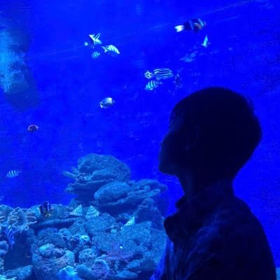 NguynKhnh61153's profile picture. 