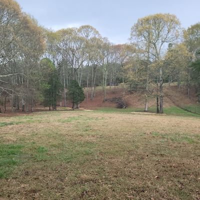 Charles27245369's profile picture. 