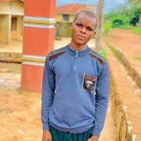 Aremu Ayomide (@aayomide62069) 's Twitter Profile