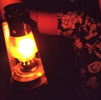 ananyahshafi's profile picture. ✨