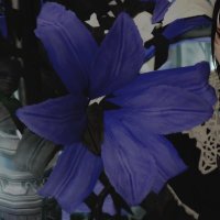 sss (@sssss54306) 's Twitter Profile