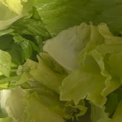 nrmyak's profile picture. 