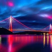 marina195433193's profile picture. 