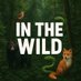 Inthewild (@_in_the_wilds) Twitter profile photo Inthewild (@_in_the_wilds) Twitter profile photo